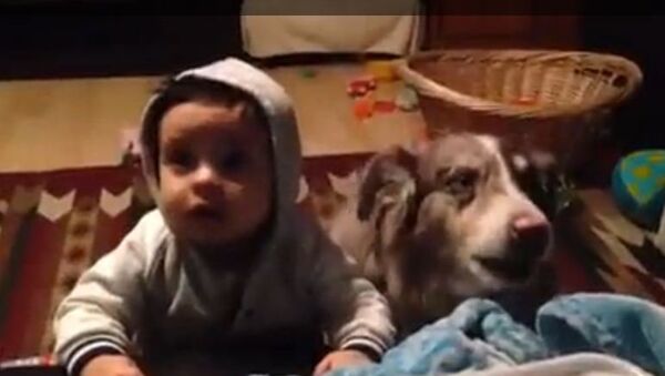 Малыш и пёс. Кадр из видео.