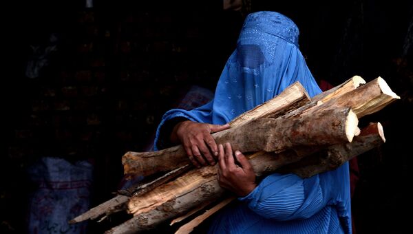 Афганская женщина несет купленные дрова в свой дом в Герате. Архивное фото