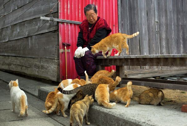 Местная жительница в окружении кошек на острове Аошима, Япония