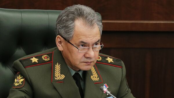 Министр обороны РФ генерал армии Сергей Шойгу. Архивное фото
