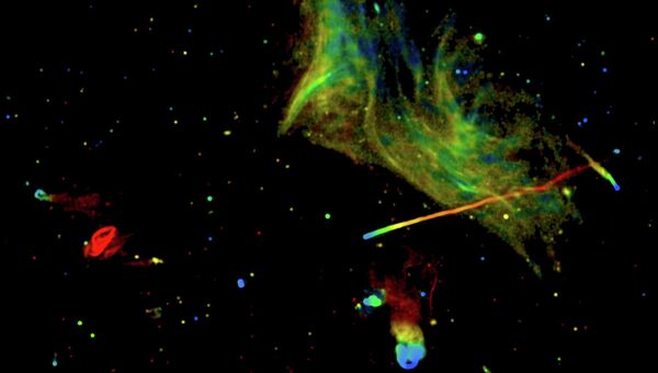 Цветная радиофотография, полученная телескопом VLA при наблюдениях за скоплением Abell 2256