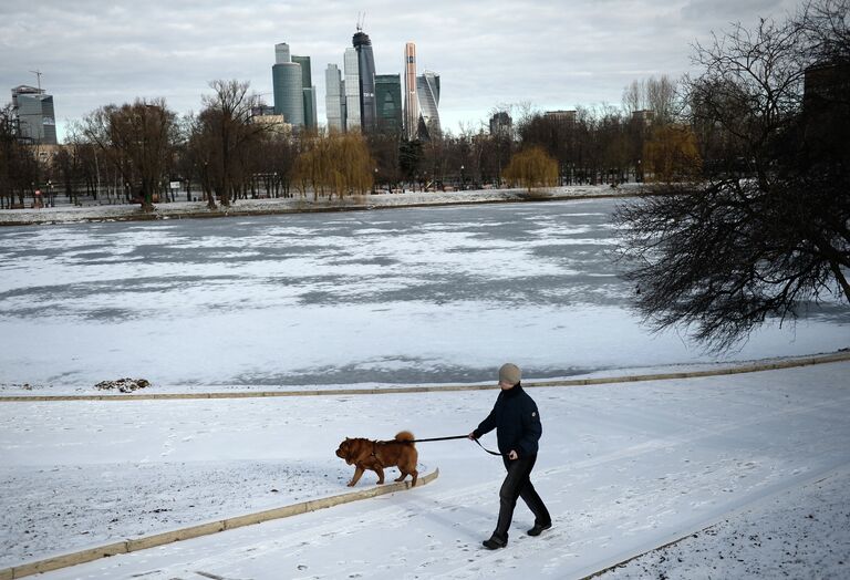 Мужчина гуляет с собакой в парке у Новодевичьего монастыря в Москве