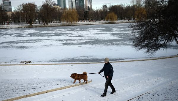 Мужчина гуляет с собакой в парке у Новодевичьего монастыря в Москве