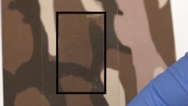 Подобные стикеры с экстрактом одного из белков осьминогов сделают солдат будущего невидимыми для тепловизоров Подобные стикеры с экстрактом одного из белков осьминогов сделают солдат будущего невидимыми для тепловизоров