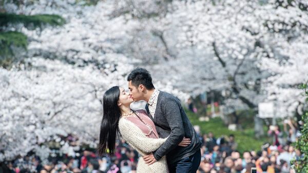 Влюбленные целуются на фоне цветущей вишни в городе Ухань, Китай