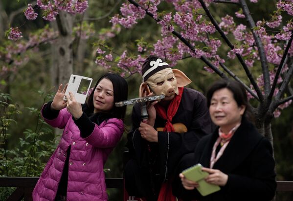 Первый день фестиваля Цветущих вишен в Шанхае, Китай