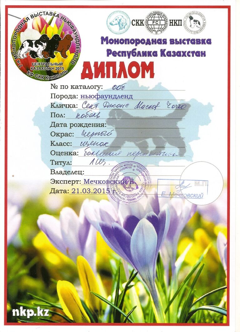 Диплом Графа Диплом Графа