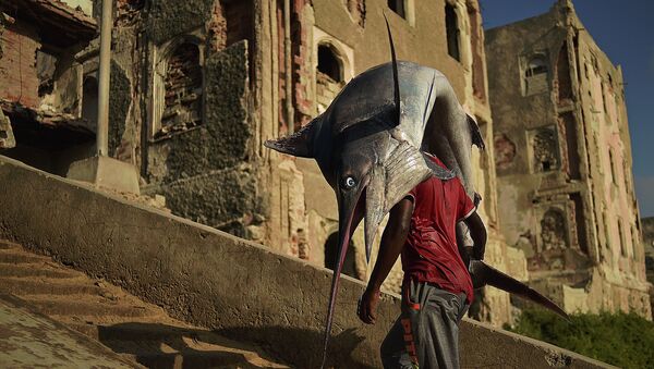 Человек несет рыбу-парусник на улице Могадишо. Архивное фото
