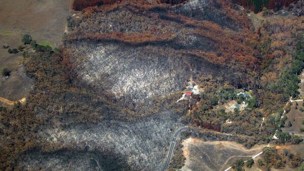 Вид с воздуха на пострадавшие от лесных пожаров районы Австралии. Архивное фото