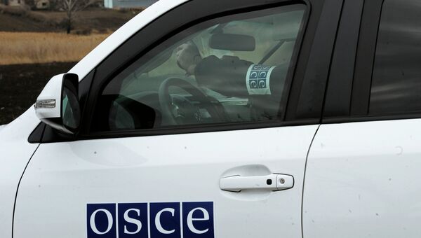 Представители ОБСЕ во время проверки нахождения тяжелой артиллерии в Донецкой области
