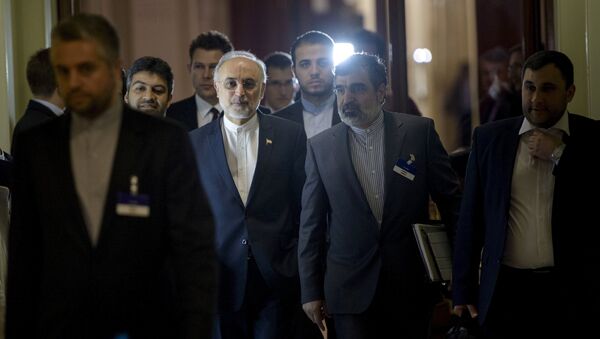 Президент Организации по атомной энергии Ирана Али Акбар Салехи в Лозанне