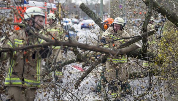Пожарные убирают упавшие в результате урагана Никлас деревья в Берлине