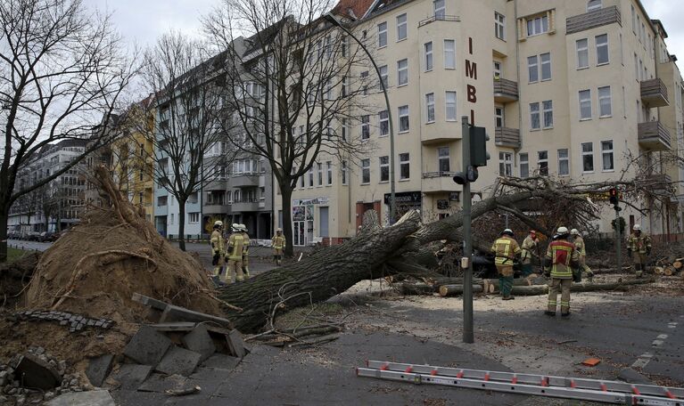 Пожарные убирают с дороги поваленное ветром дерево в Берлине, Германия