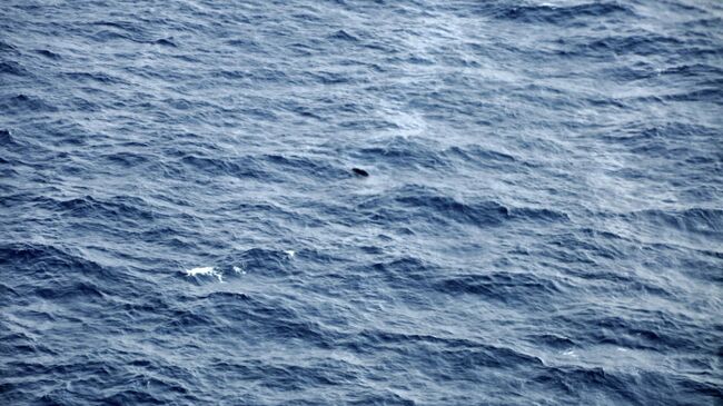 Спасательная операция на месте затопления траулера Дальний Восток в Охотском море