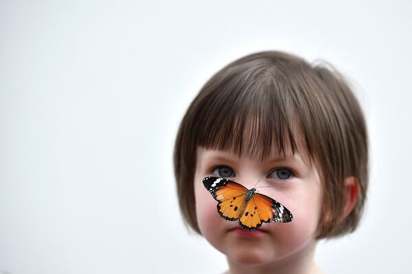 Бабочка сидит на носу у ребенка во время фотосессии в Музее естественной истории