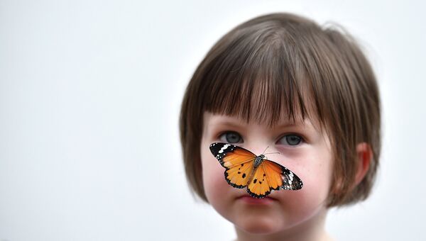 Бабочка сидит на носу у ребенка во время фотосессии в Музее естественной истории