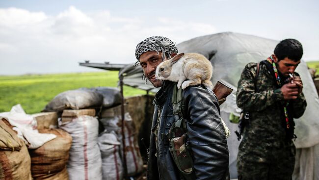 Курдский повстанец возле города Кобани в Сирии. Архивное фото