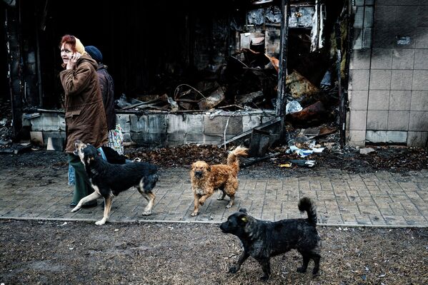 Жители Донецка и бродячие собаки в Киевском районе