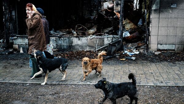 Жители Донецка и бродячие собаки в Киевском районе