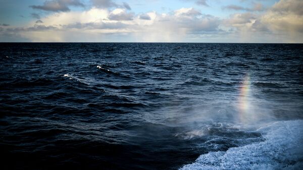 Северо-Ледовитый океан.