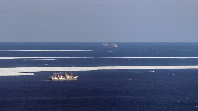 Поисково-спасательная операция в районе крушения траулера Дальний Восток в Охотском море