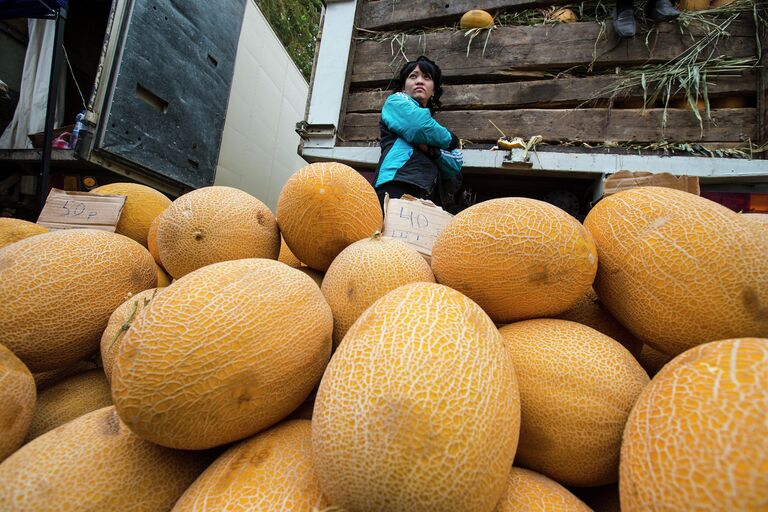 Продавец дынь на городском рынке Байконура