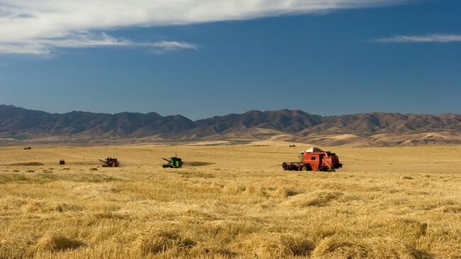 Сельскохозяйственные угодья в Казахстане