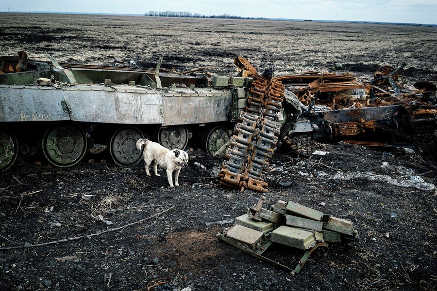 Поле с разрушенными танками около города Дебальцево