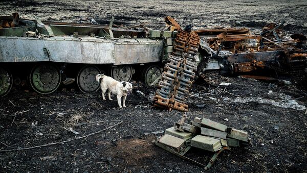 Поле с разрушенными танками около города Дебальцево