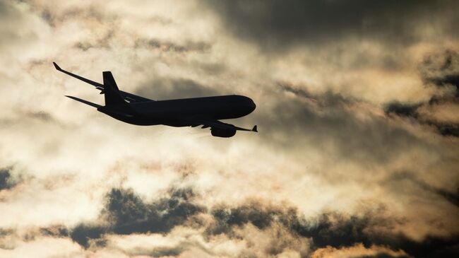 Самолет Airbus A330 в небе. Архивное фото