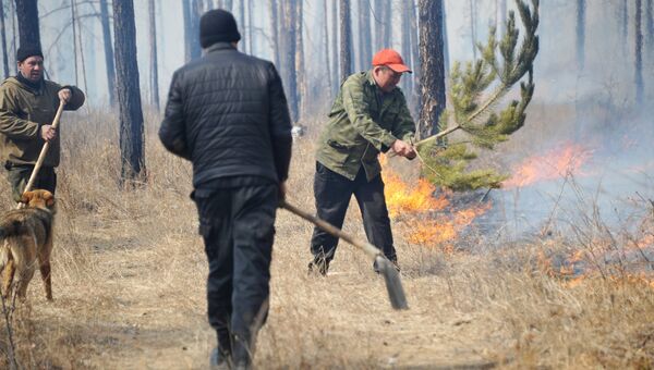 Добровольцы тушат лесной пожар. Архивное фото
