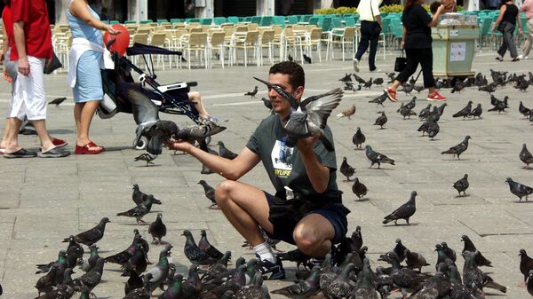 Туристы и голуби на площади Сан-Марко в Венеции