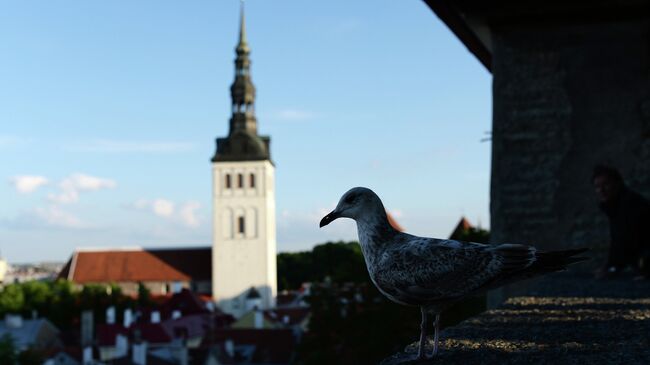 Города мира. Таллин. Архивное фото