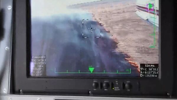 Вертолеты МЧС пролетали над зоной пожаров и тушили огонь в Забайкалье