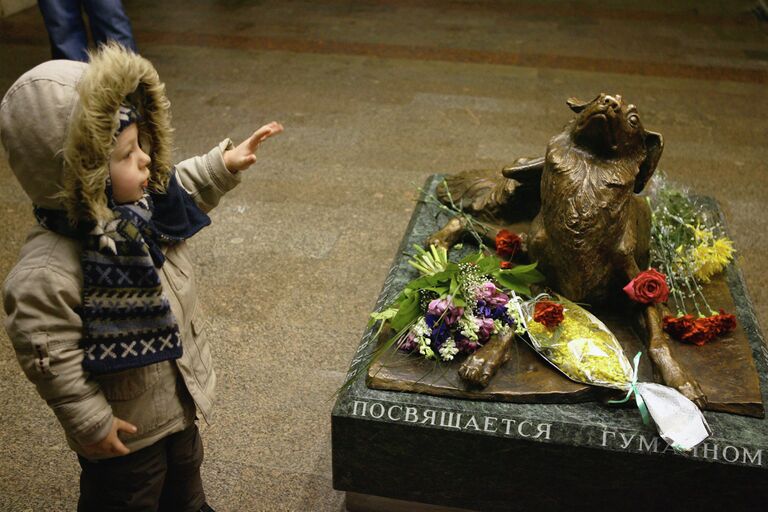 Памятник бездомной собаке - Сочувствие