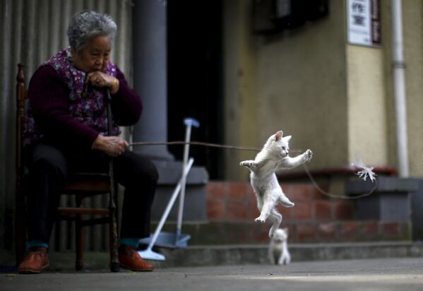 Женщина играет с котенком на одной из улиц Шанхая, Китай