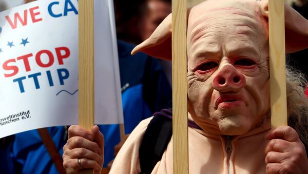 Демонстранты в Мюнхене протестуют против торгового союза ЕС и США. 18 апреля 2015 года.