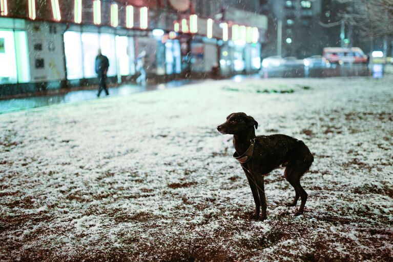 Снег в Москве