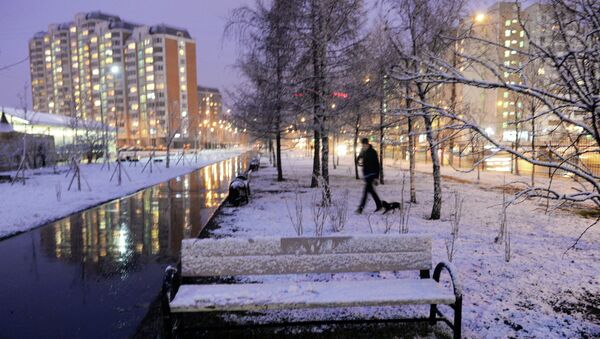 Снег в Москве. Архивное фото