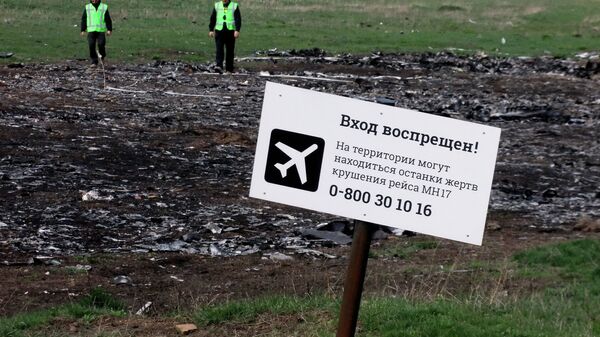 Эксперты из Нидерландов и Малайзии посетили место крушения Боинга в Донецкой области