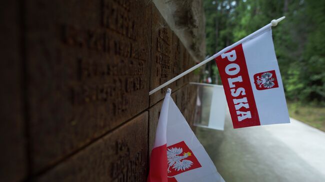 Флаг Польши. Архивное фото