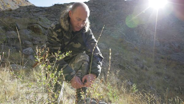 Президент РФ Владимир Путин в горах. Архивное фото