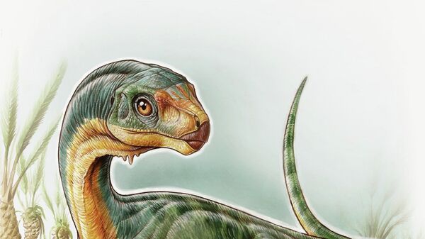 Так художник представил себе чилизавра – травоядного родича тираннозавров