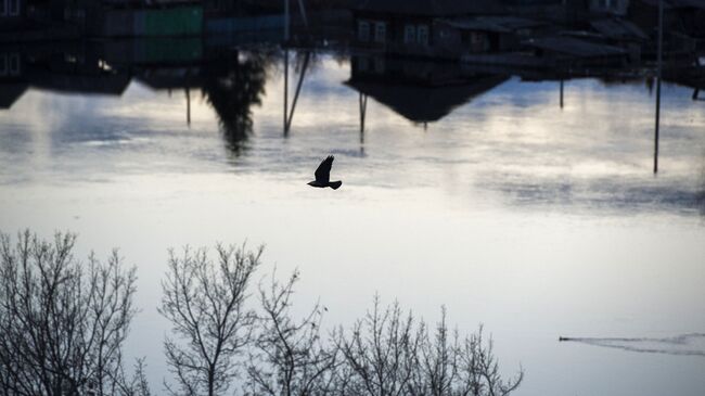 Паводок. Архивное фото Паводок. Архивное фото