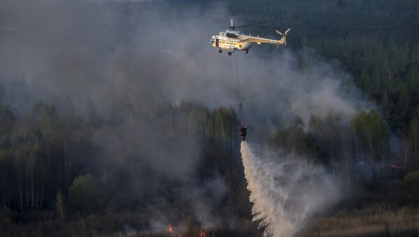 Тушение лесного пожара на севере Украины
