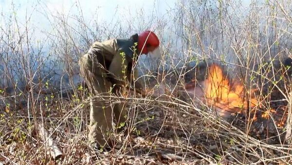 Пожарные лопатами сбивали огонь в зоне отчуждения  Чернобыльской АЭС