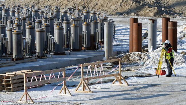 Строительство завода по производству сжиженного природного газа. Архивное фото