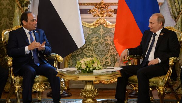 Президент России Владимир Путин встретился с президентом Египта Абделем Фатахом ас-Сиси. Архивное фото.