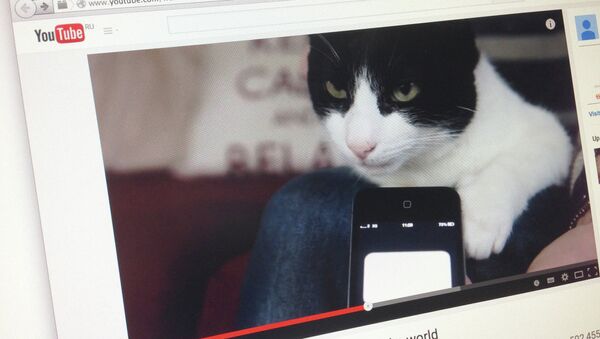 Страница сайта YouTube с кадром из видео с кошкой Мерлин, попавшей в книгу рекордов Гиннесса