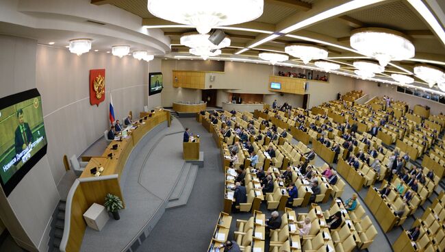 Пленарное заседание Госдумы РФ. Архивное фото